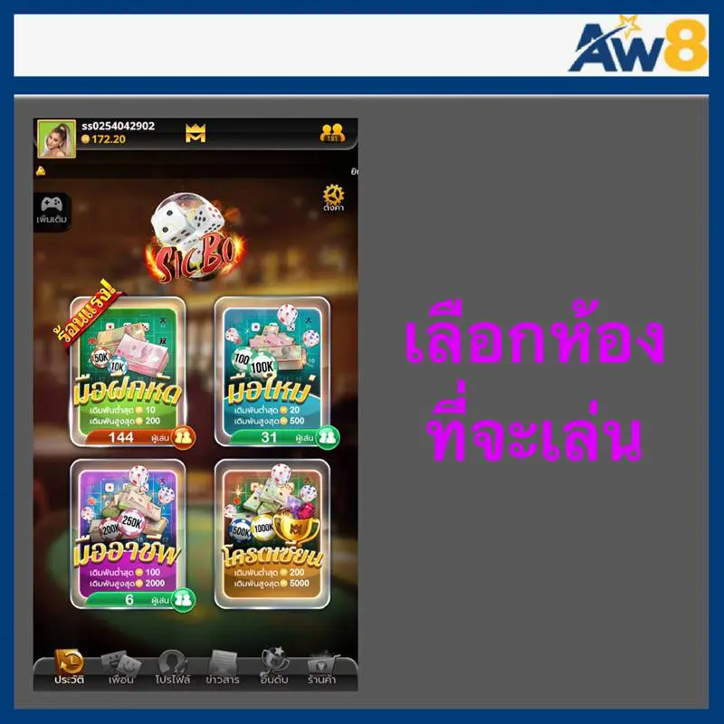 เกมส์3D aw8